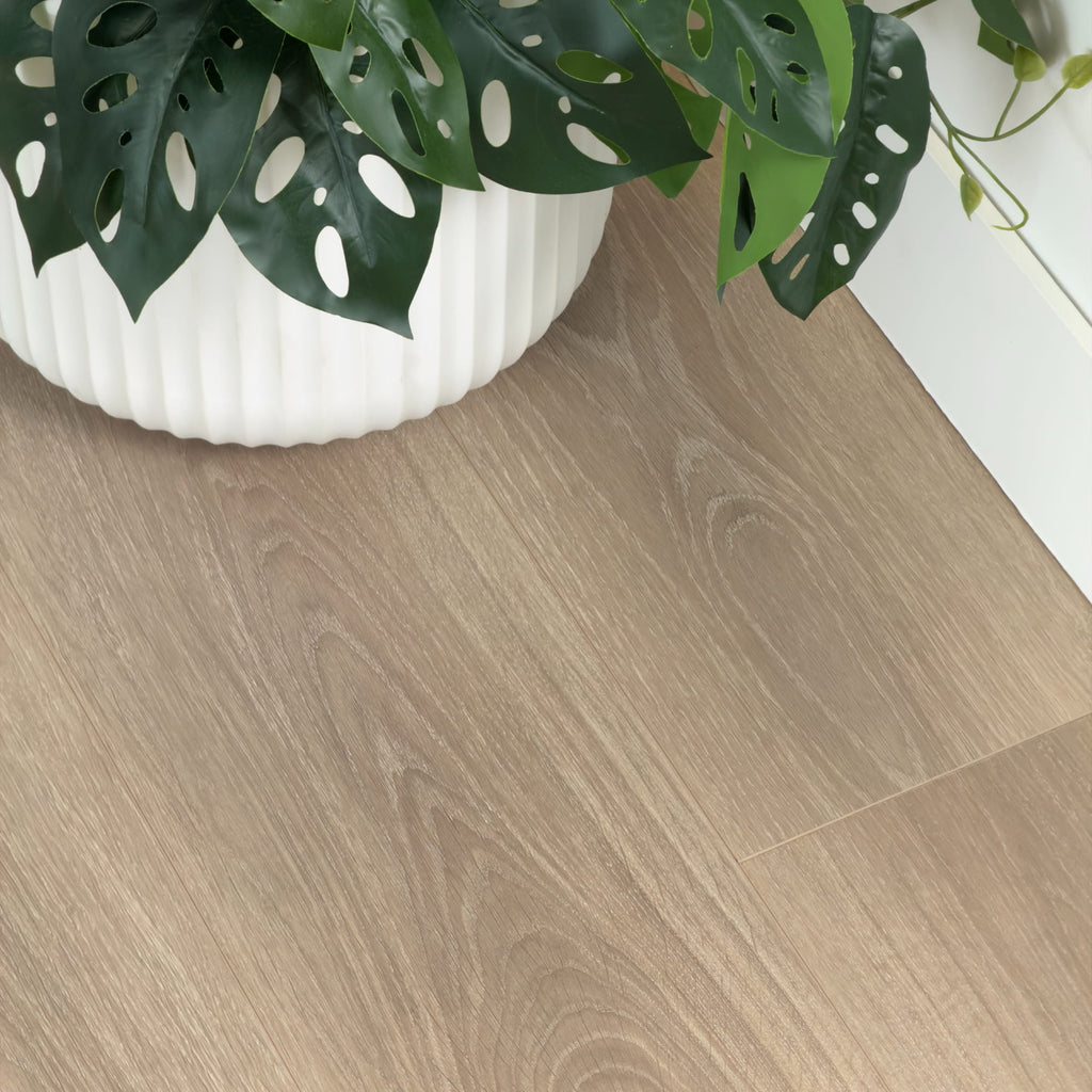 Ash Grey Laminate Floors 12mm