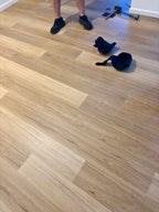 Installed room view of Coastal Blackbutt SPC 6.5mm SPC hybrid flooring sample